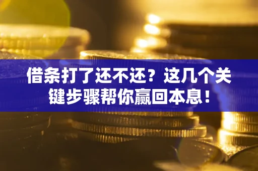 北京借条打了还不还？这几个关键步骤帮你赢回本息！