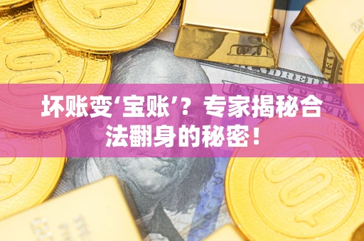 北京坏账变‘宝账’？专家揭秘合法翻身的秘密！