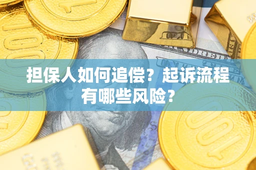 北京担保人如何追偿？起诉流程有哪些风险？