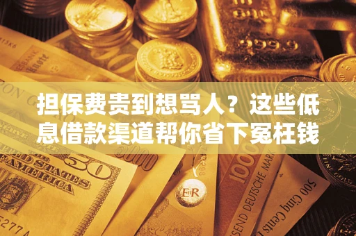 北京担保费贵到想骂人？这些低息借款渠道帮你省下冤枉钱