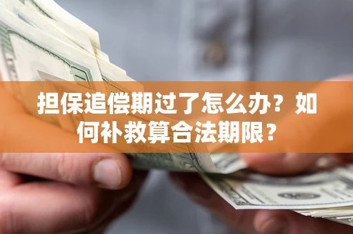 北京担保追偿期过了怎么办？如何补救算合法期限？