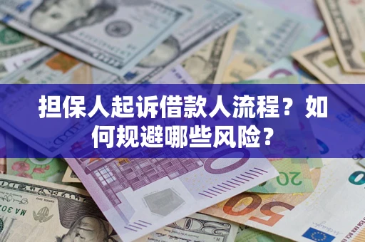 北京担保人起诉借款人流程？如何规避哪些风险？