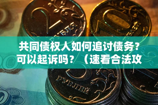 北京共同债权人如何追讨债务？可以起诉吗？（速看合法攻略）